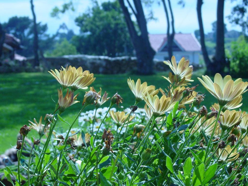 Posada Rural Valoria Zewnętrze zdjęcie